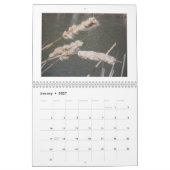 カレンダー – 雑草の種子と果実 (1月 2027)