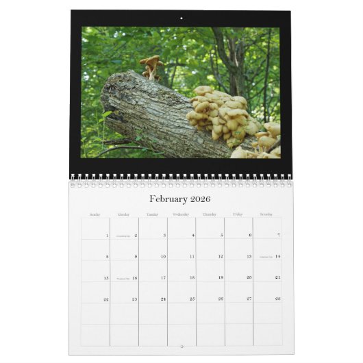 カレンダー – Bits & Pieces (2月 2026)