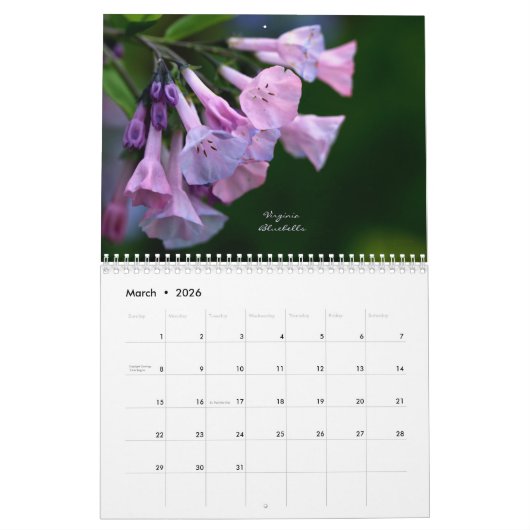 カレンダー – Nature's Palette (3月 2026)