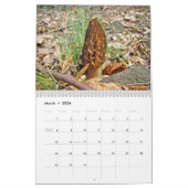 カレンダー – Song of the Seasons (3月 2026)