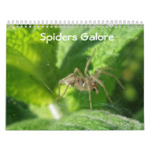 カレンダー – Spiders Galore
