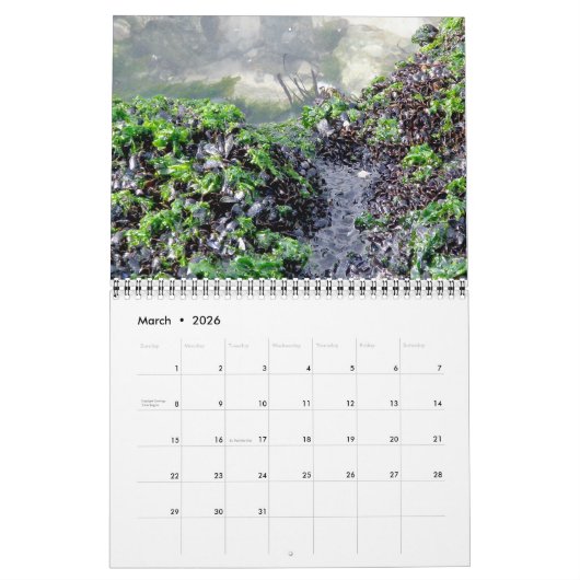 カレンダー – Surf 'n Turf (3月 2026)