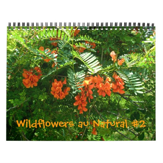 カレンダー – Wildflowers au Natural #2 (カバー)