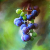 カレンダ カレンダー