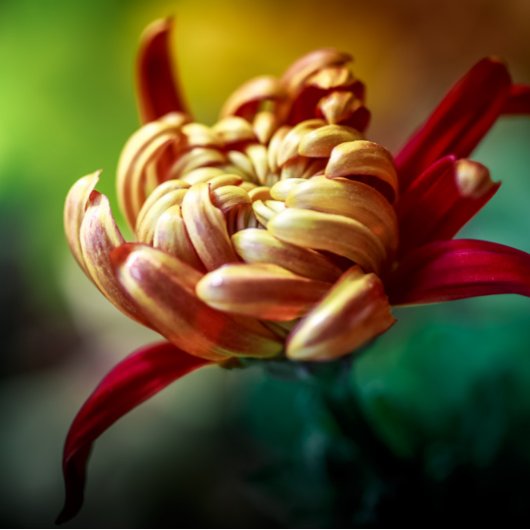 カレンダ カレンダー