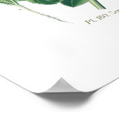 カレンデュラ・オフィニアリス(ポット・マリゴールド) ポスター (角)