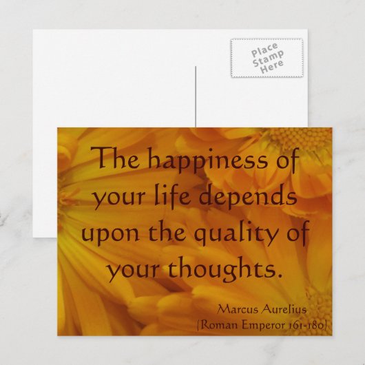 カレンデュラ ポストカード (正面/裏面)