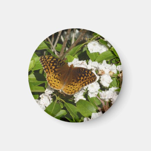 カレン山のカレンに止まるギフチョウ マグネット (正面)
