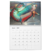 カレンMac Auley著2013年の半月のBettaのカレンダー カレンダー (3月 2027)