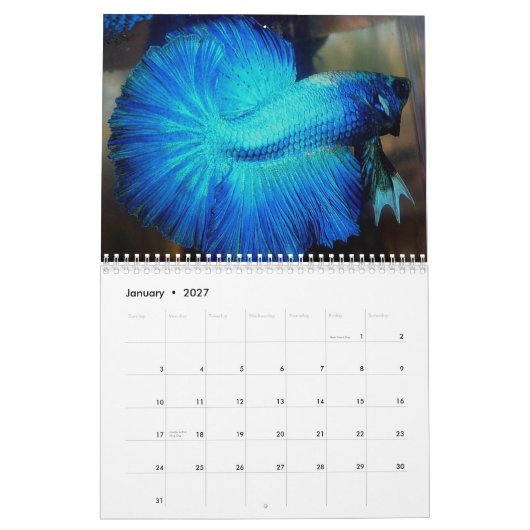 カレンMac Auley著2013年の半月のBettaのカレンダー カレンダー (1月 2027)