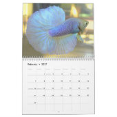 カレンMac Auley著2013年の半月のBettaのカレンダー カレンダー (2月 2027)