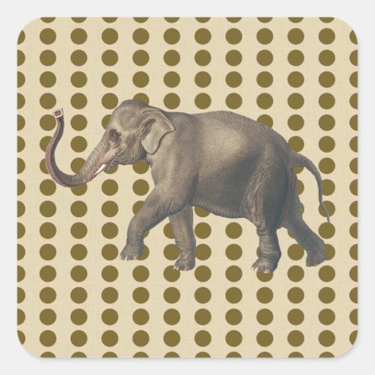 カレースパイスのモーズドットとゾウ スクエアシール (正面)