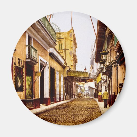 カレーデハバナキューバ マグネット (正面)