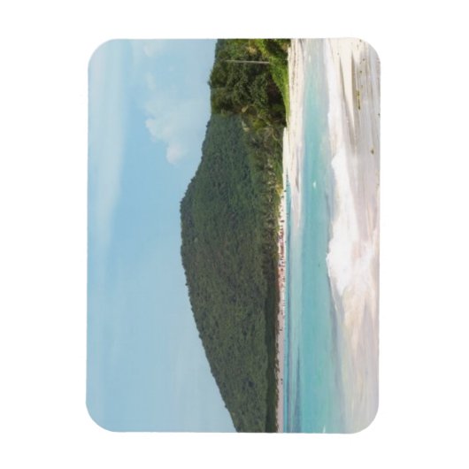 カレーブラズフラメンコビーチプエルトリコ マグネット (縦)