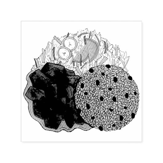 カレーヤギ米とピーズジャマイカカリブの食品 セルフインキングスタンプ (デザイン)