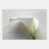 カレーリラッピング紙セット3 ラッピングペーパーシート (正面)