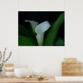 カレーリリー ポスター (キッチン)