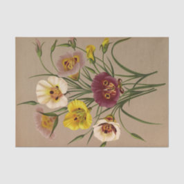 カロコルティ仕様。Div.by Arentina Arendsen 薄葉紙