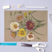 カロコルティ仕様。Div.by Arentina Arendsen 薄葉紙 (クラフト)