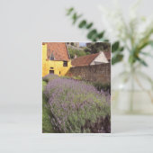 カロスパレスザフロントガーデン ポストカード (スタンド正面)