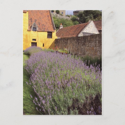 カロスパレスザフロントガーデン ポストカード (正面)