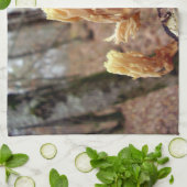 カロセラビスコサティータオル キッチンタオル (折り畳み)