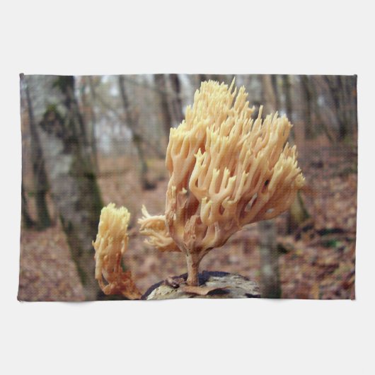 カロセラビスコサティータオル キッチンタオル (横)