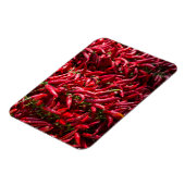 カロッサの町のスパイシーな赤いチリ マグネット (左側)