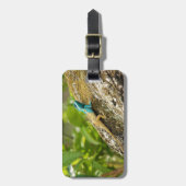 カロッテモズク ラゲッジタグ (正面縦)