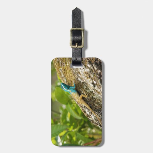 カロッテモズク ラゲッジタグ (正面縦)