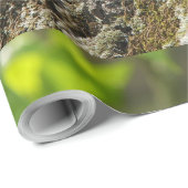 カロッテモズク ラッピングペーパー (ロールコーナー)