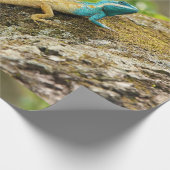 カロッテモズク ラッピングペーパー (角)