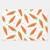 カロテク ラッピングペーパーシート (正面2)