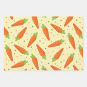 カロテク ラッピングペーパーシート (正面)