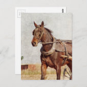 カロナアイオワアミッシュホースアンド乳母車 ポストカード (正面/裏面)