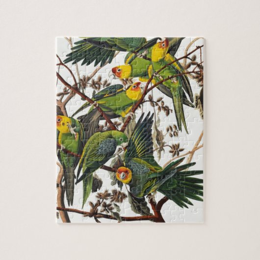 カロライナのオウム-ジョン・ジェームズ・オーデュボン(1827-1838年) ジグソーパズル (縦)