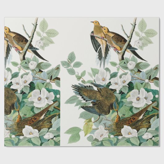 カロライナのカメの鳩、ジョンの込み合いによるアメリカの鳥 ラッピングペーパー (フラット)