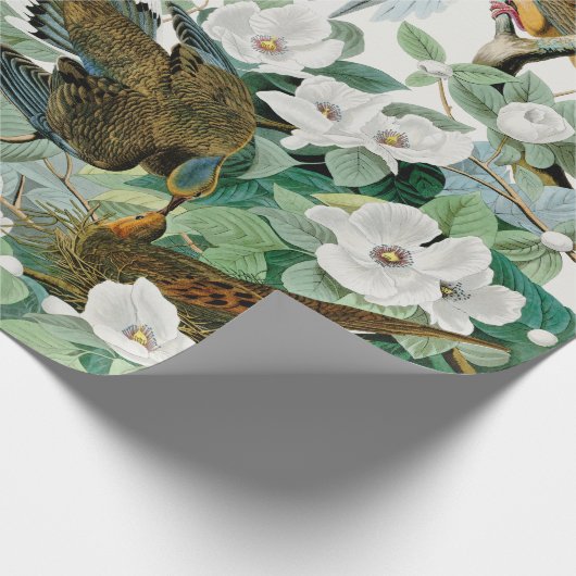 カロライナのカメの鳩、ジョンの込み合いによるアメリカの鳥 ラッピングペーパー (角)