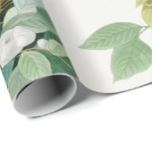 カロライナのカメの鳩、ジョンの込み合いによるアメリカの鳥 ラッピングペーパー (ロールコーナー)