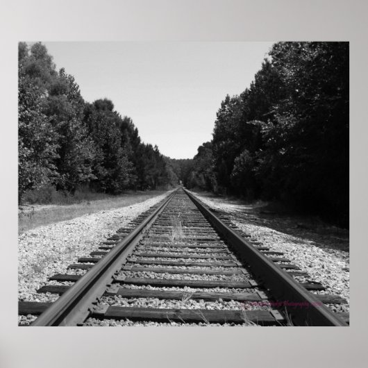 カロライナのトラック ポスター (正面)