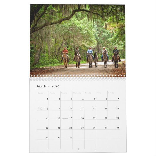 カロライナの沼地の粘着性のアウトドア2017のカレンダー カレンダー (3月 2026)