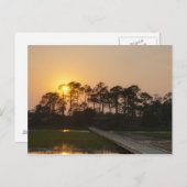 カロライナの海岸に沈む夕日 ポストカード (正面/裏面)