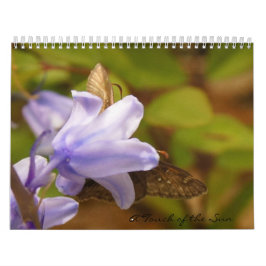 カロライナのTouch カレンダー