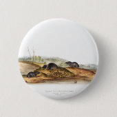 カロライナシュリューハウスマウスガールボーイルーム 缶バッジ (正面)