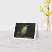 カロライナミソサザイのメッセージカード カード (黄色い花)