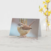 カロライナミソサザイの写真の挨拶状 カード (黄色い花)