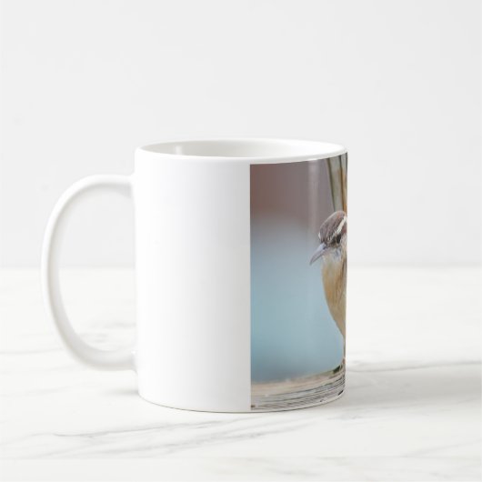 カロライナミソサザイの写真撮影 コーヒーマグカップ (左)