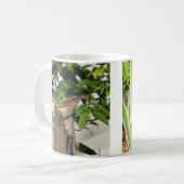 カロライナミソサザイ家族2のマグ コーヒーマグカップ (正面左)