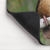 カロライナミソサザイ マウスパッド (コーナー)