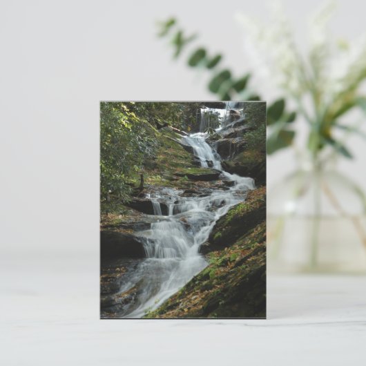 カロライナ山の滝の写真はがき2 ポストカード (スタンド正面)